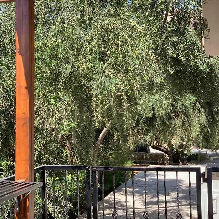 Magnolia Captains House With A Pool