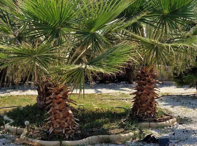 Magnolia Captains House With A Pool Апартаменты