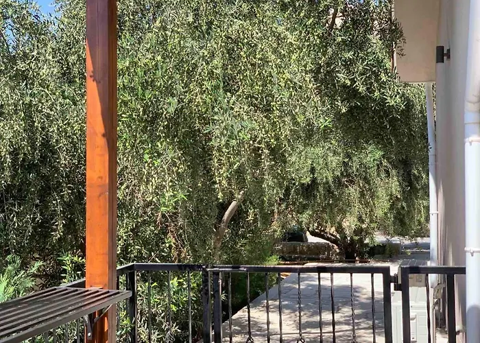 Magnolia Captains House With A Pool