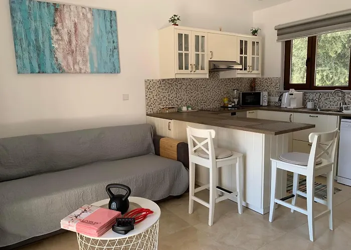 Magnolia Captains House With A Pool Лимасол