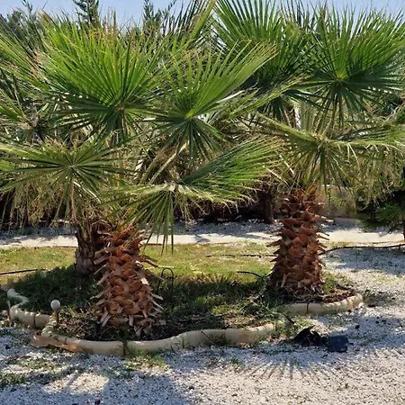 Magnolia Captains House With A Pool Apartman